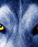 Андрей Арабалеев