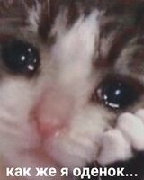 Оля Разумовская