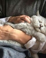 Мария Сыркина