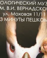 Мария Коткина