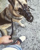 Тимур Казаев