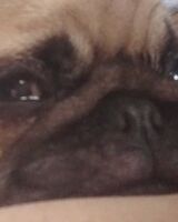 Михаил Ухачёв