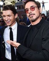 Александра Воскобойникова