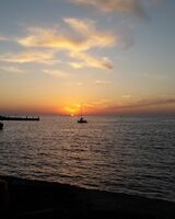 Анастасия Сердюкова