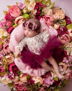 Camelia 