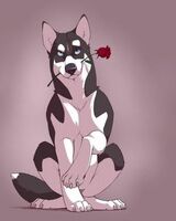 Александра Кучко