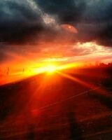 Рада Денисюк