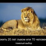 Константин Овсянников