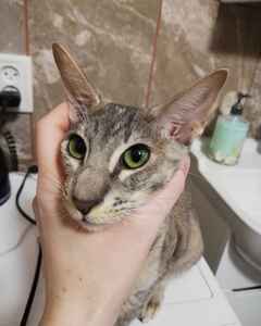 Виктория Стручкова