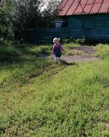 Елена Снигирева