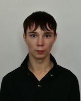 Роман Холливел