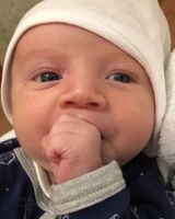 Леонид Скрипка