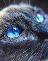 Диана Нежкова