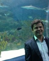 Сердар Мерт