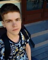 Владислав Грибов