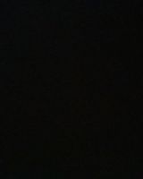 Спам Спамов