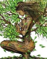 Алина Солодянкина