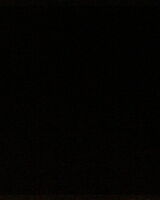 Люба Пушкина