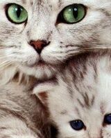 Ольга Пантелеева