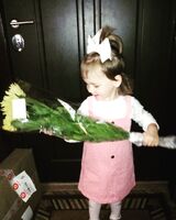 Елена Сапрыкина