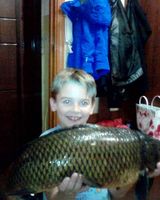 Влад Соколов