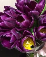 Лена Иванова