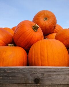 Антон Прохин