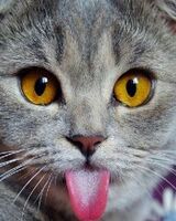 Анюта Пономарева