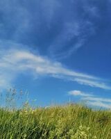 ЕКАТЕРИНА Щербакова