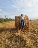 Любовь Борщевская