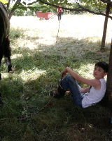 Кантемир Цаликов