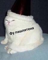Aglai Denikin