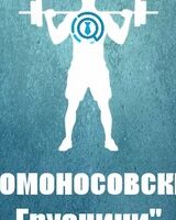 Владимир Ломоносов