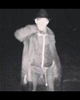 Андрей Рукштель