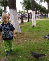 Екатерина Зыбина