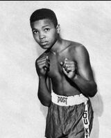 Эмил Кадыров