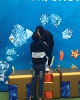 Витжай Петелин