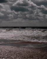 Вероника Чернявская