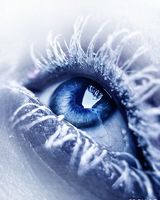 Екатерина Бугакова