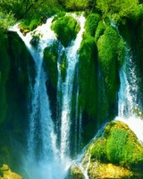 юлия сергеенко