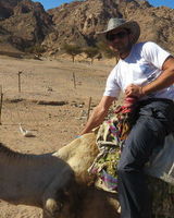 Андрей Степанов