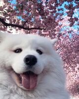 Ольга Игоревна