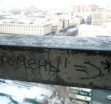 София Кулемзина