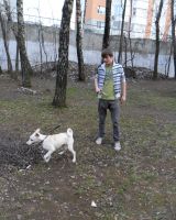 Андрей Ковалев