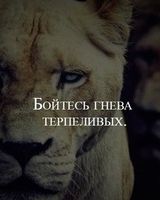 Александр Смирнов