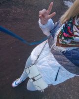 Алёнка Громова