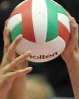Davide Zocchi