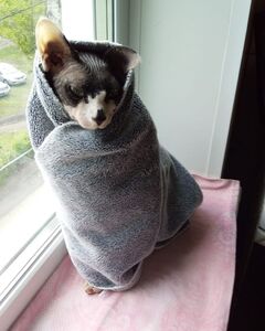 Яна Белоозерова