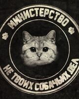 Алина Абрамович