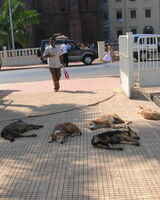 Мила Жданова